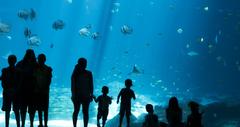 25 Best Aquariums in the United States