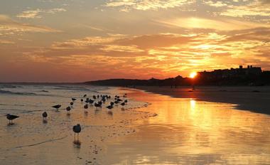Best East Coast Beaches: Kiawah Island, South Carolina