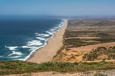 Places to Visit Near Me: Point Reyes National Seashore