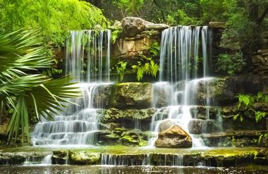 Best botanical gardens: Zilker Botanical Garden, Texas