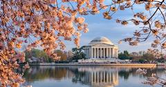 Washington, D.C. in Spring