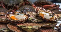 25 Best Seafood Restaurants in NYC