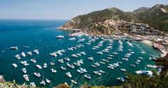 19 Best Things to Do in Avalon, CA