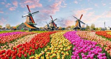 25 Best Things to Do in the Netherlands