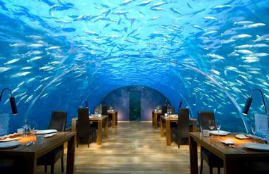Amazing Underwater Restaurant at Conrad Maldives Rangali Island
