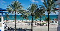Sandy beach and palm trees in Florida