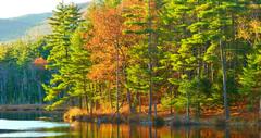 25 New Hampshire Parks