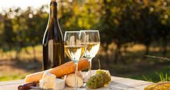 25 Scenic Wineries in the Poconos
