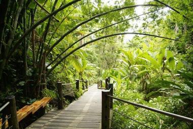 Hawaii Tropical Botanical Garden on the Big Island