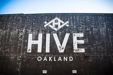 Hive Oakland