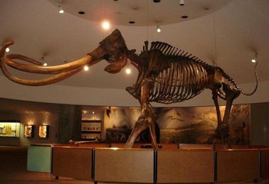 Things to Do in Southern California: La Brea Tar Pits