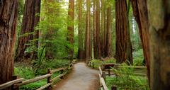 Where to Stay Near Redwood National Park
